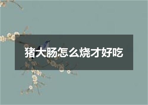 猪大肠怎么烧才好吃