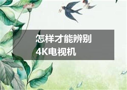 怎样才能辨别4K电视机