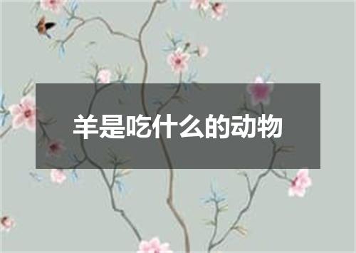 羊是吃什么的动物