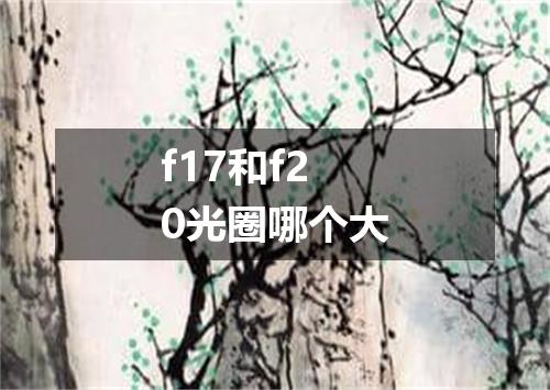 f17和f20光圈哪个大