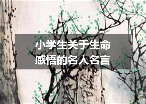 小学生关于生命感悟的名人名言