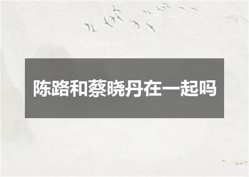 陈路和蔡晓丹在一起吗