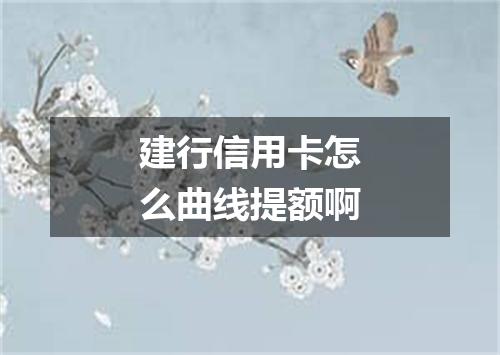 建行信用卡怎么曲线提额啊
