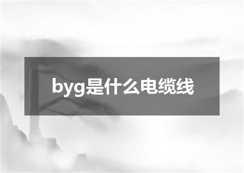 byg是什么电缆线