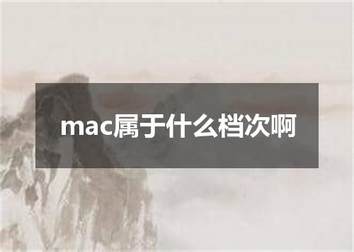 mac属于什么档次啊