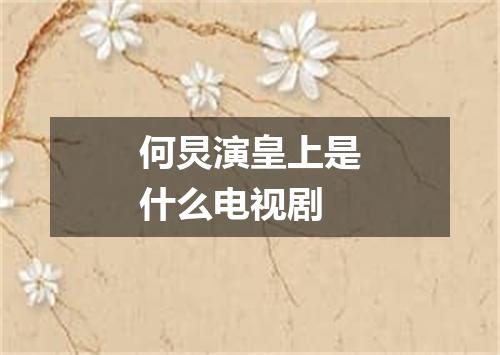 何炅演皇上是什么电视剧