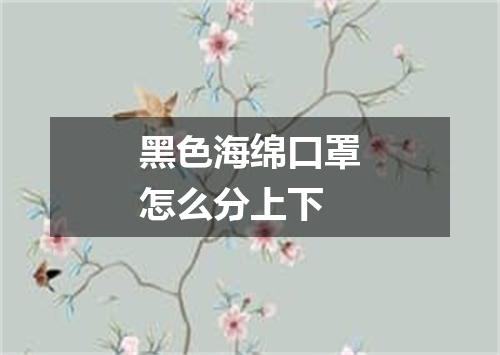 黑色海绵口罩怎么分上下