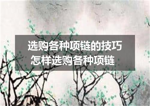 选购各种项链的技巧 怎样选购各种项链