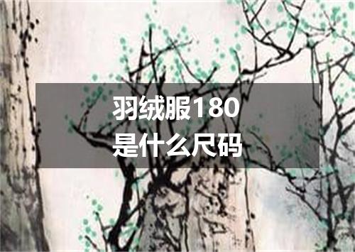 羽绒服180是什么尺码