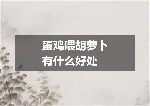 蛋鸡喂胡萝卜有什么好处