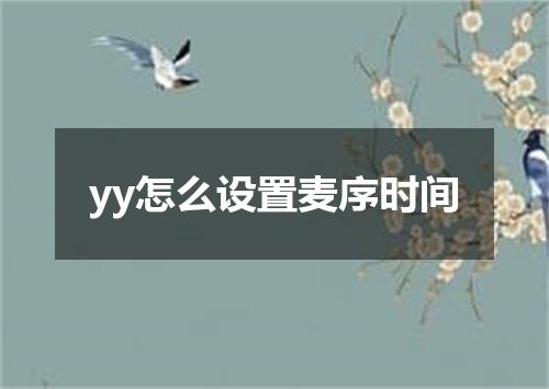 yy怎么设置麦序时间