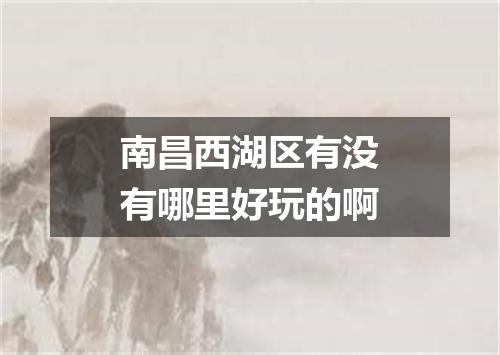 南昌西湖区有没有哪里好玩的啊