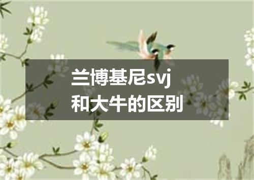 兰博基尼svj和大牛的区别