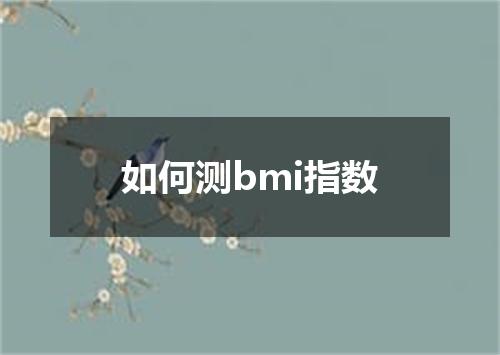 如何测bmi指数