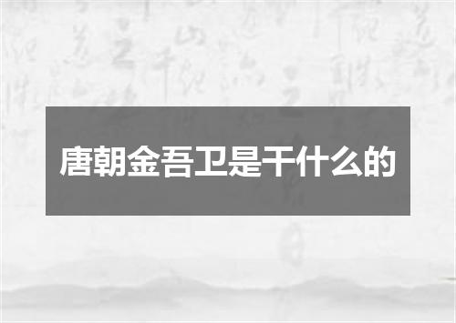 唐朝金吾卫是干什么的