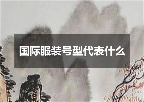 国际服装号型代表什么