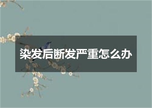 染发后断发严重怎么办