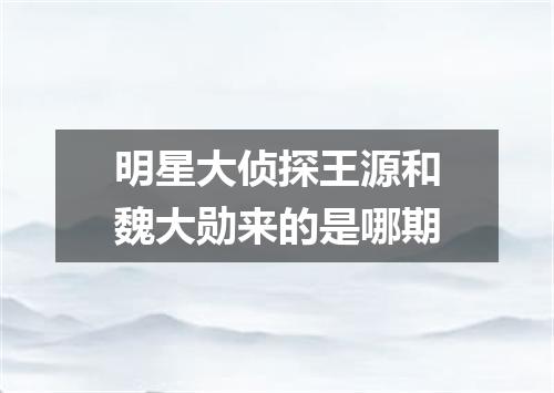 明星大侦探王源和魏大勋来的是哪期
