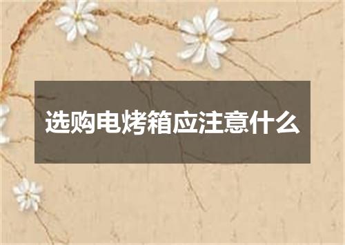 选购电烤箱应注意什么