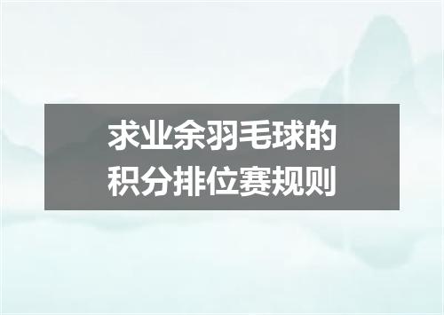 求业余羽毛球的积分排位赛规则