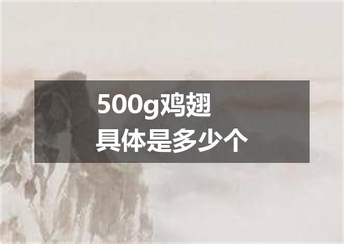 500g鸡翅具体是多少个