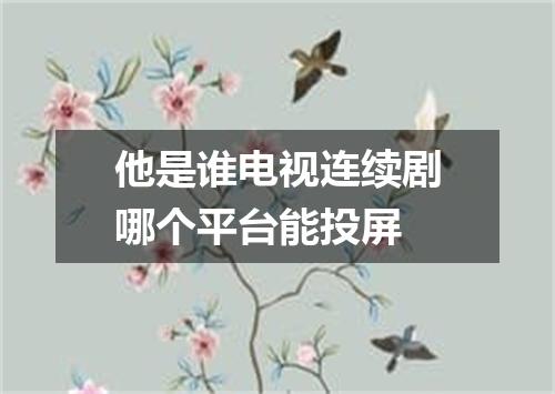 他是谁电视连续剧哪个平台能投屏