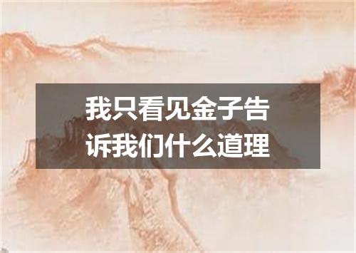 我只看见金子告诉我们什么道理