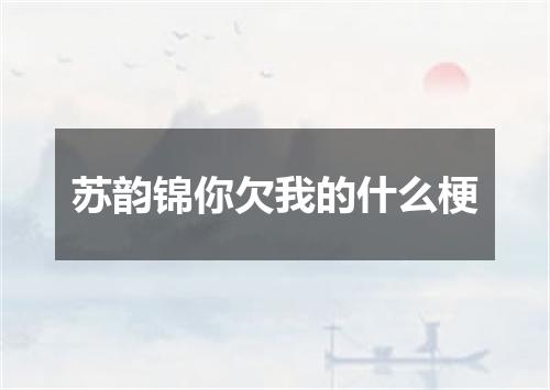 苏韵锦你欠我的什么梗