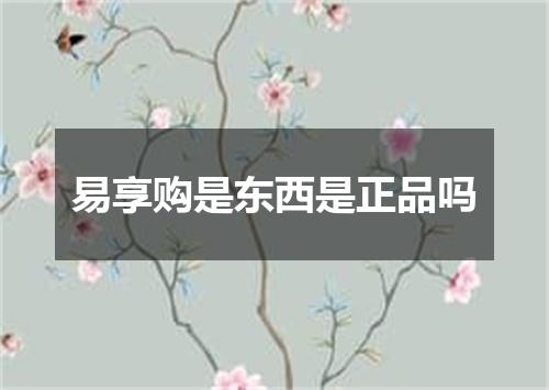易享购是东西是正品吗