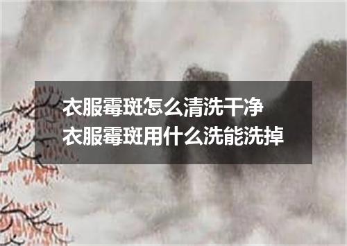 衣服霉斑怎么清洗干净 衣服霉斑用什么洗能洗掉