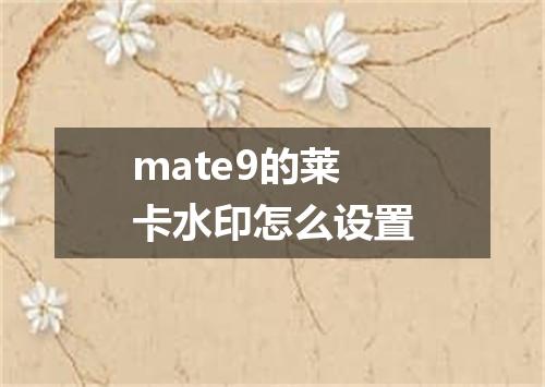 mate9的莱卡水印怎么设置