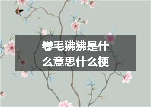 卷毛狒狒是什么意思什么梗