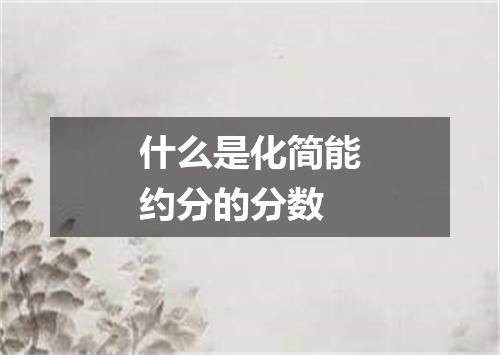 什么是化简能约分的分数