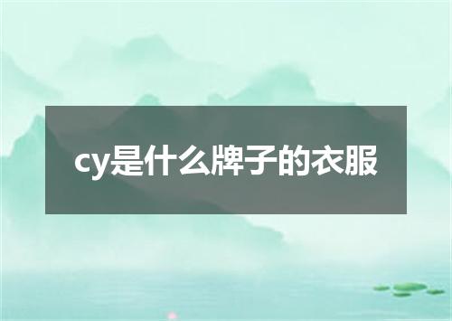 cy是什么牌子的衣服