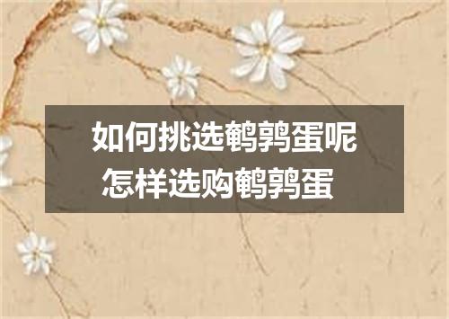 如何挑选鹌鹑蛋呢 怎样选购鹌鹑蛋