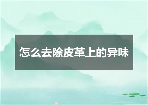 怎么去除皮革上的异味