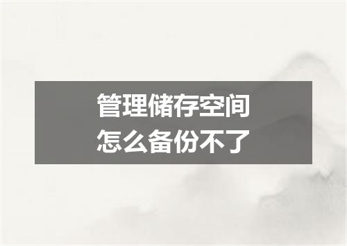 管理储存空间怎么备份不了