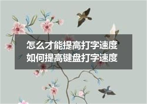 怎么才能提高打字速度 如何提高键盘打字速度