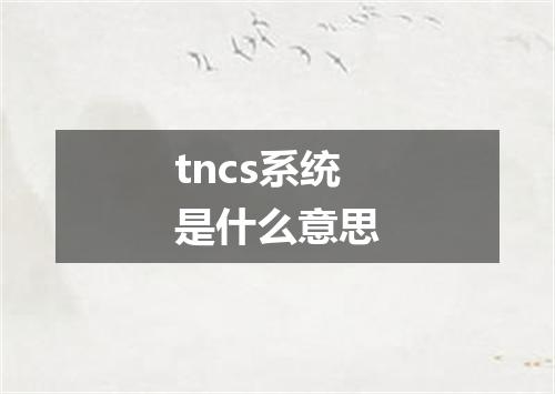 tncs系统是什么意思