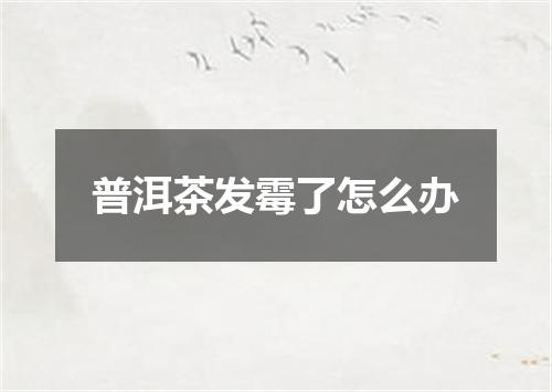 普洱茶发霉了怎么办