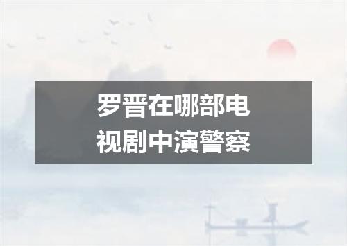 罗晋在哪部电视剧中演警察