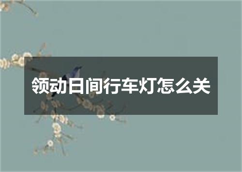 领动日间行车灯怎么关