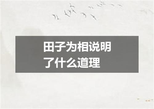 田子为相说明了什么道理