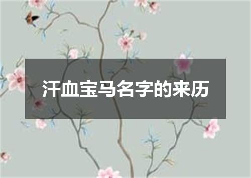 汗血宝马名字的来历