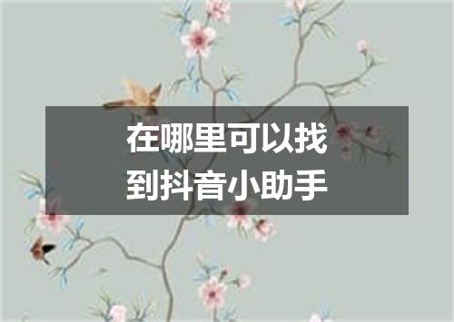 在哪里可以找到抖音小助手