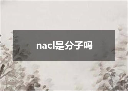 nacl是分子吗