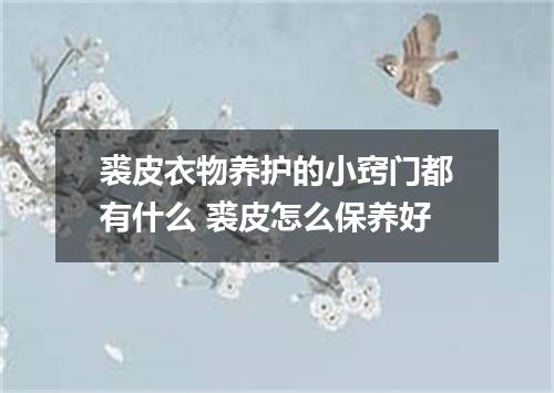 裘皮衣物养护的小窍门都有什么 裘皮怎么保养好