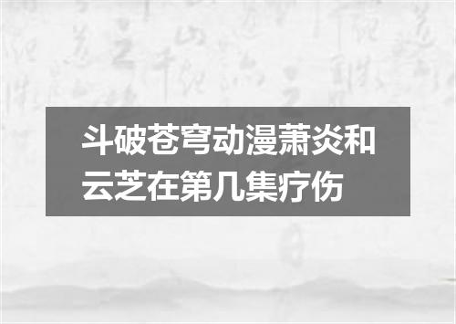斗破苍穹动漫萧炎和云芝在第几集疗伤