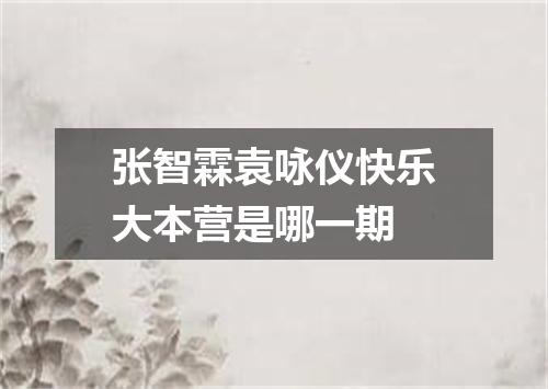 张智霖袁咏仪快乐大本营是哪一期