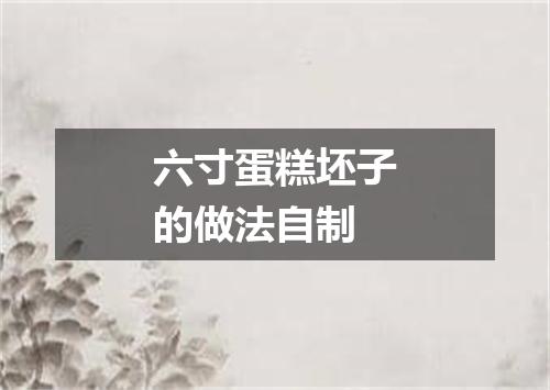 六寸蛋糕坯子的做法自制